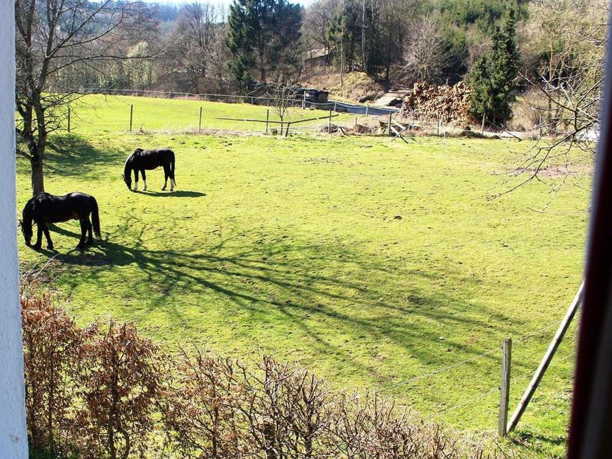 Ferienwohnung Peitz Eslohe Bagian luar foto