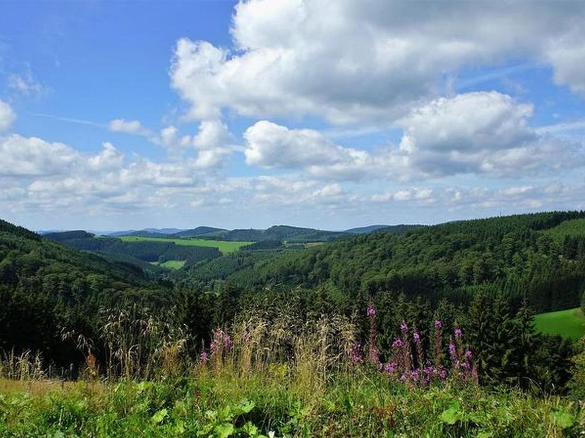 Ferienwohnung Peitz Eslohe Bagian luar foto