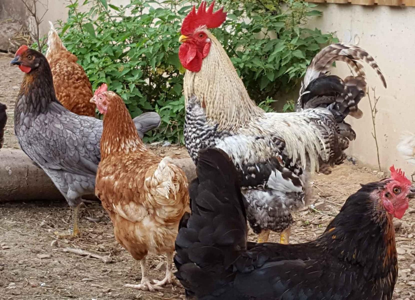 Ferienwohnung Peitz Eslohe Bagian luar foto