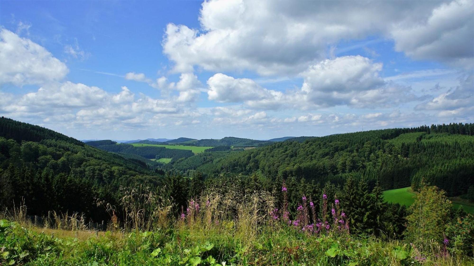 Ferienwohnung Peitz Eslohe Bagian luar foto