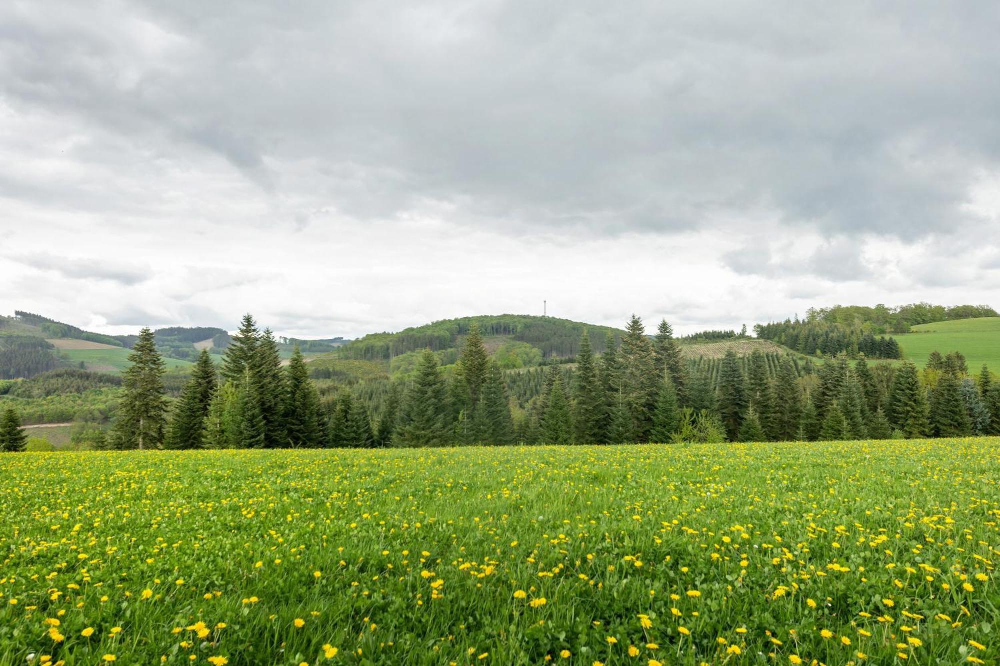 Ferienwohnung Peitz Eslohe Bagian luar foto